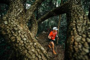 BIB: 
                            <button type="button" onclick="openModal(25669702)" class="btn btn-primary btn-sm float-right btn-popup" data-toggle="modal" data-target=".modal-high-quality">
                        <i class="fas fa-shopping-cart"></i> Add to Cart
                    </button>
                                            <button type="button" onclick="isThisMe(25669702, true)" class="btn btn-success btn-sm float-right btn-popup btn-isme hidden" data-toggle="tooltip" data-placement="bottom" title="นี่คือรูปของคุณใช่ไหม คลิกที่นี่เพื่อเอาเข้าอัลบั้ม">
                        <i class="fas fa-plus"></i> Add to album
                    </button>
                    <button type="button" onclick="isThisMe(25669702, false)" class="btn btn-warning btn-sm float-right btn-popup btn-isnotme hidden">
                        <i class="fas fa-ban"></i> Remove from album
                    </button>